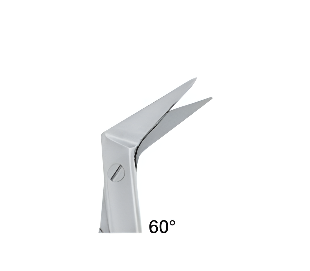 01-428-Hegemann-Diethrich-Vascular-Scs-1