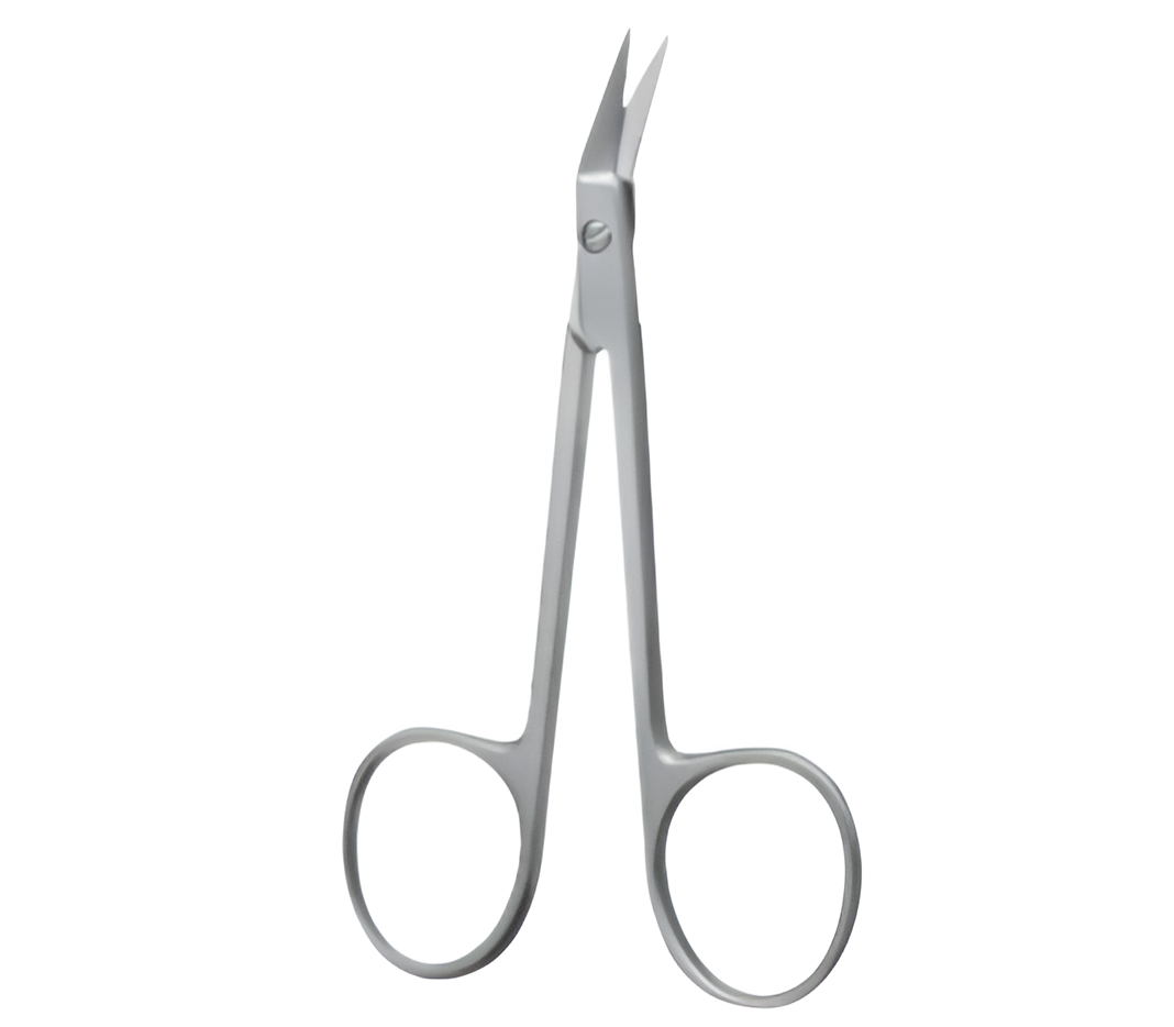 SSG-01-073-Delicate-Scs