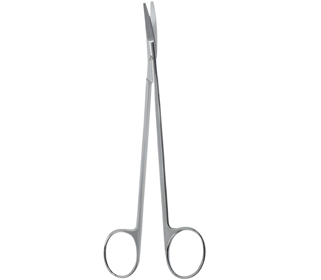 SSG-01-458-Tonsil-Scs-CVD