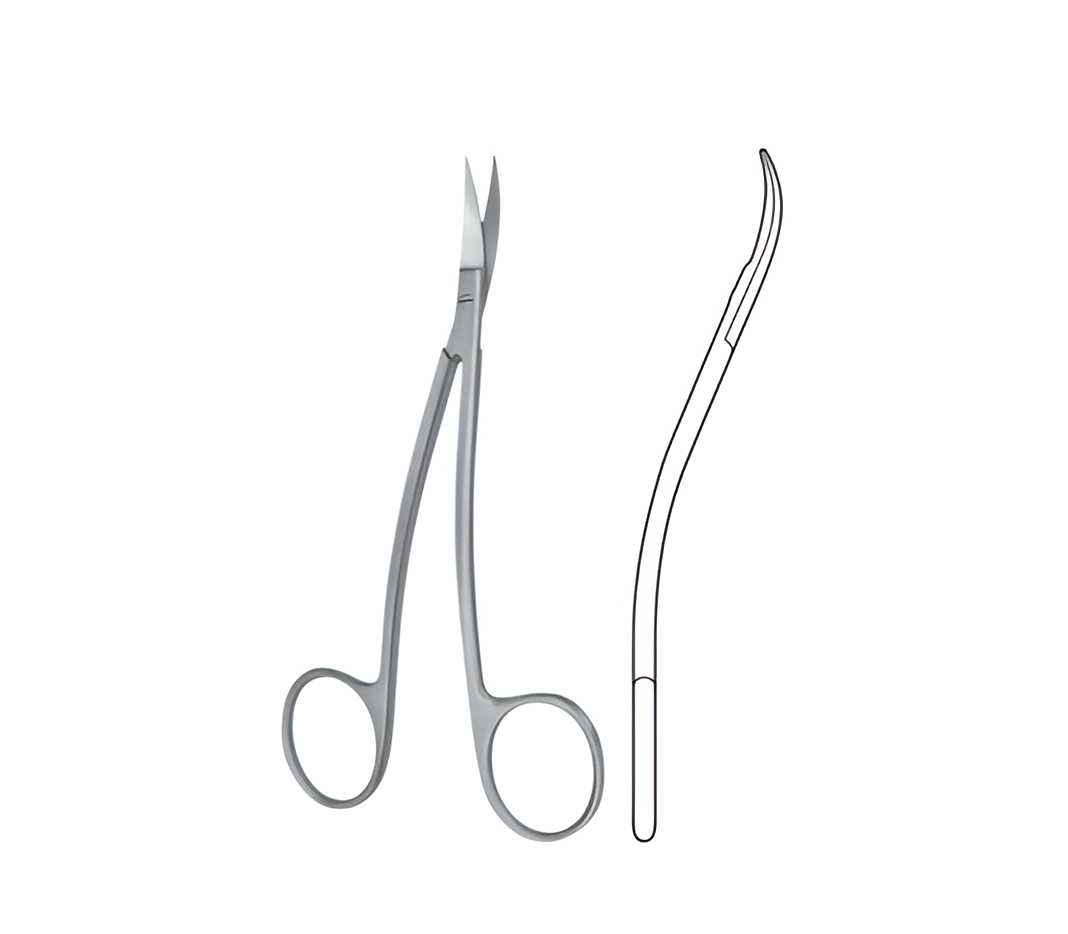 SSG-01-517-Gum-Scs (1)